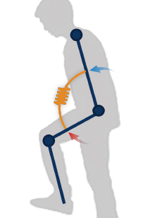 Passive type (Spring) image